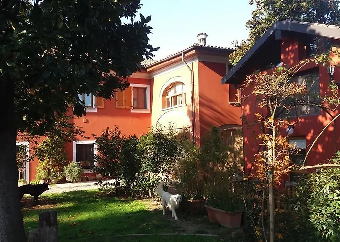 Il Pettirosso