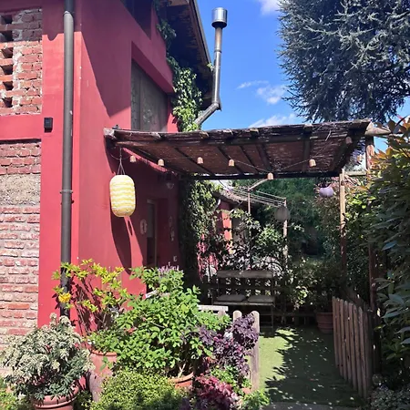 Il Pettirosso Bed & Breakfast