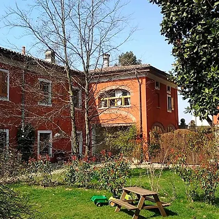 Il Pettirosso