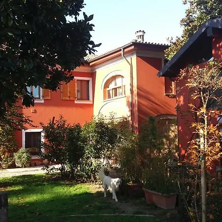Il Pettirosso