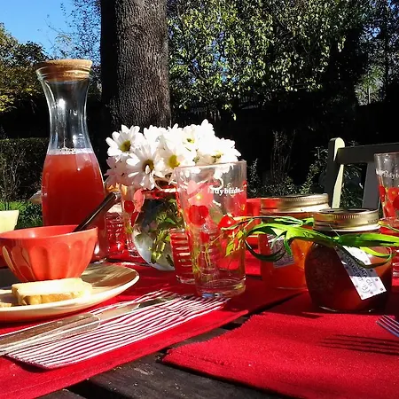 Frühstückspension Il Pettirosso